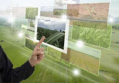 农业农村大数据平台及应用系统
